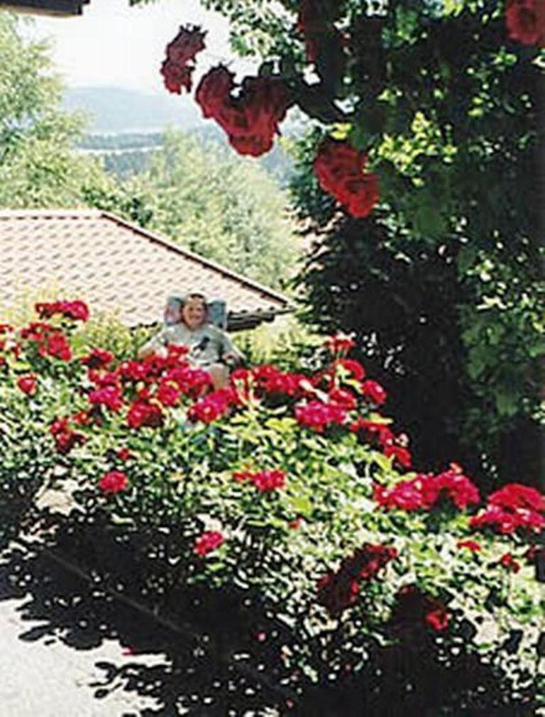 Haus Bergblick Bay. Wald Leilighet Prackenbach Eksteriør bilde