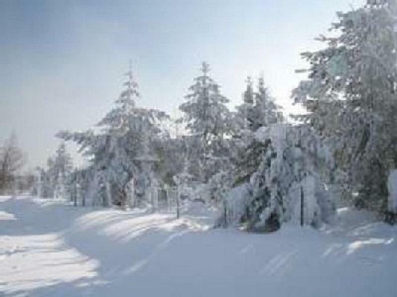 Haus Bergblick Bay. Wald Leilighet Prackenbach Eksteriør bilde