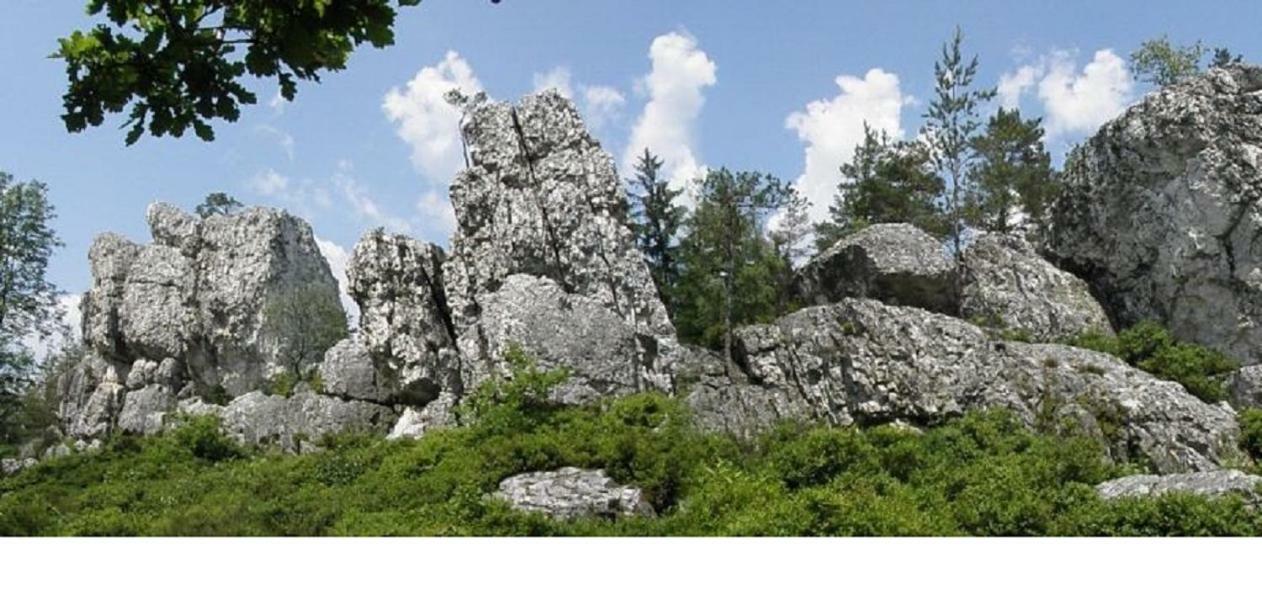 Haus Bergblick Bay. Wald Leilighet Prackenbach Eksteriør bilde